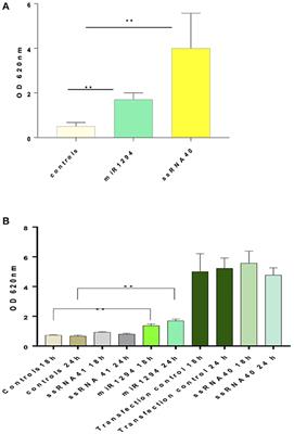 Endosomal TLR-8 Senses microRNA-1294 Resulting in the Production of NFḱB Dependent Cytokines